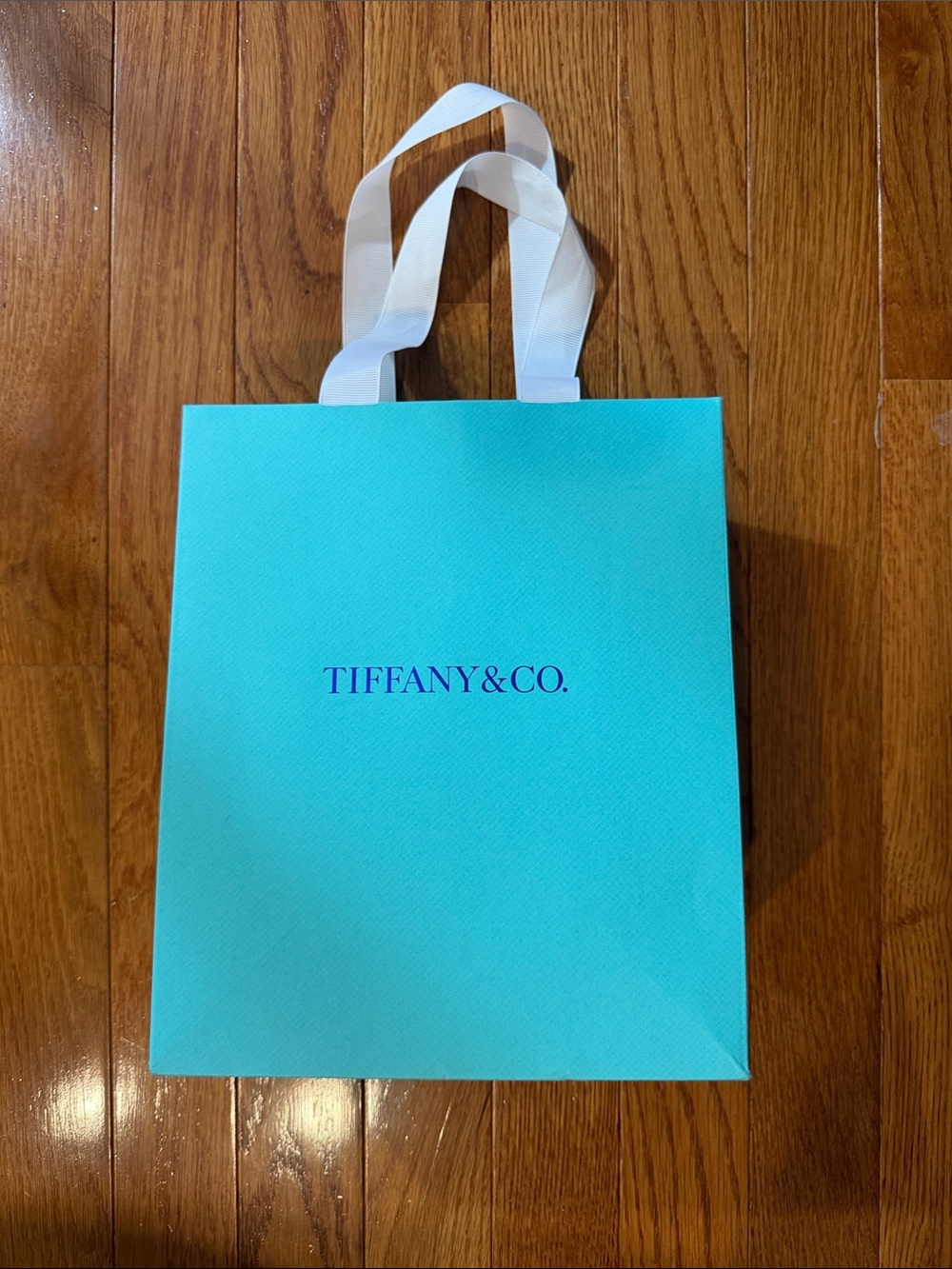 Tiffany & Co. Medium bag